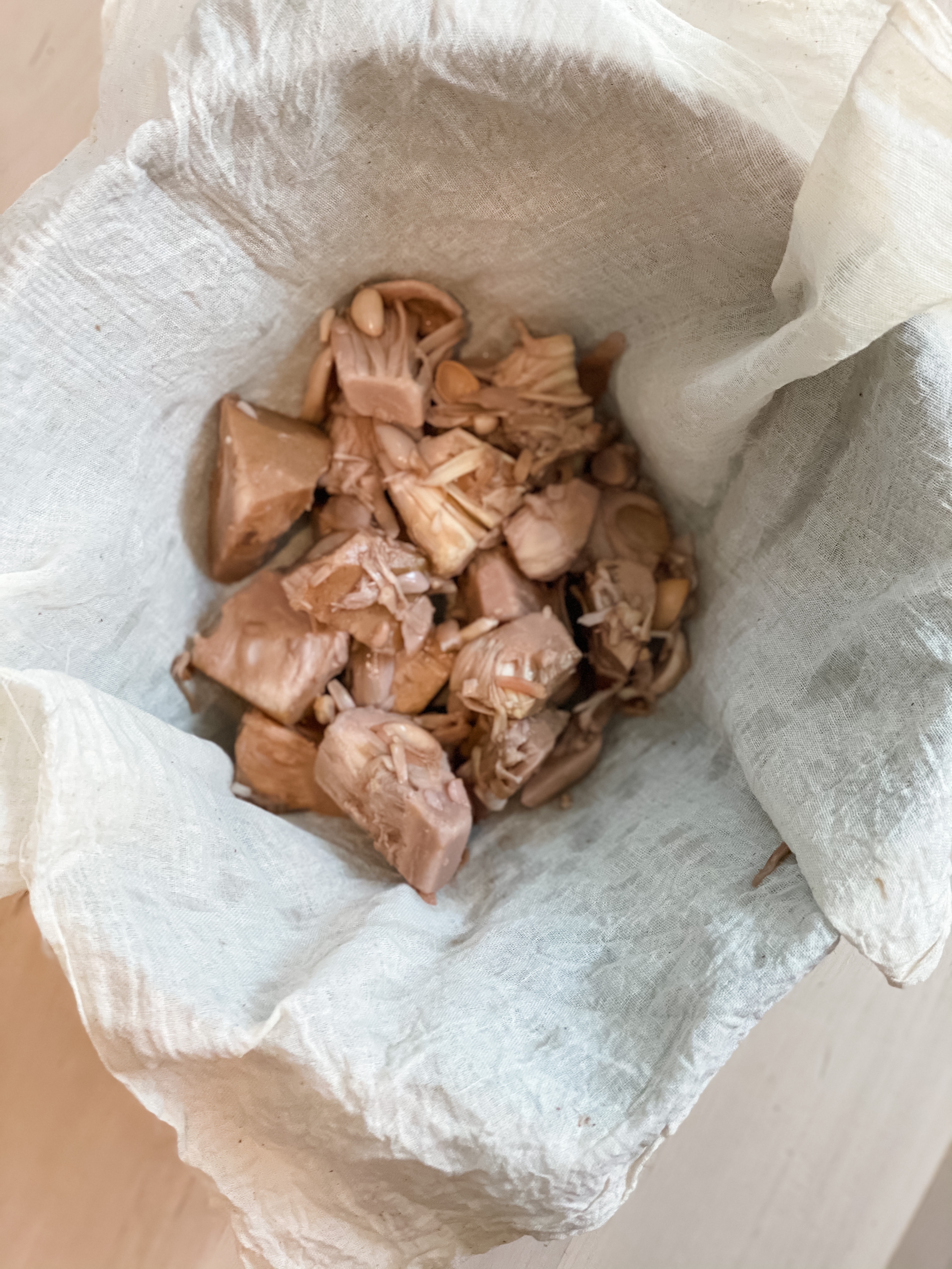 Young Jackfruit in cheesecloth