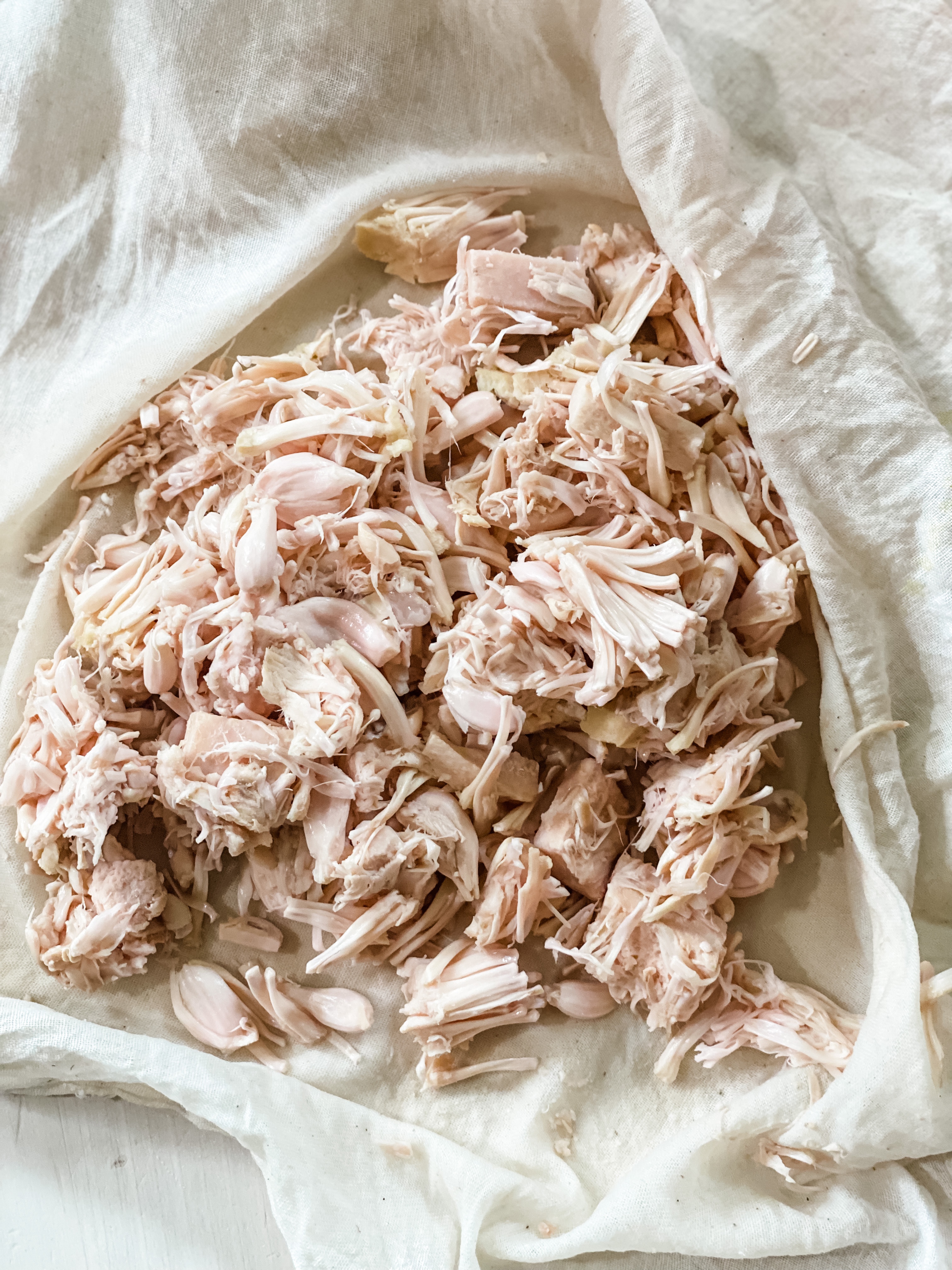 Shredded Jackfruit