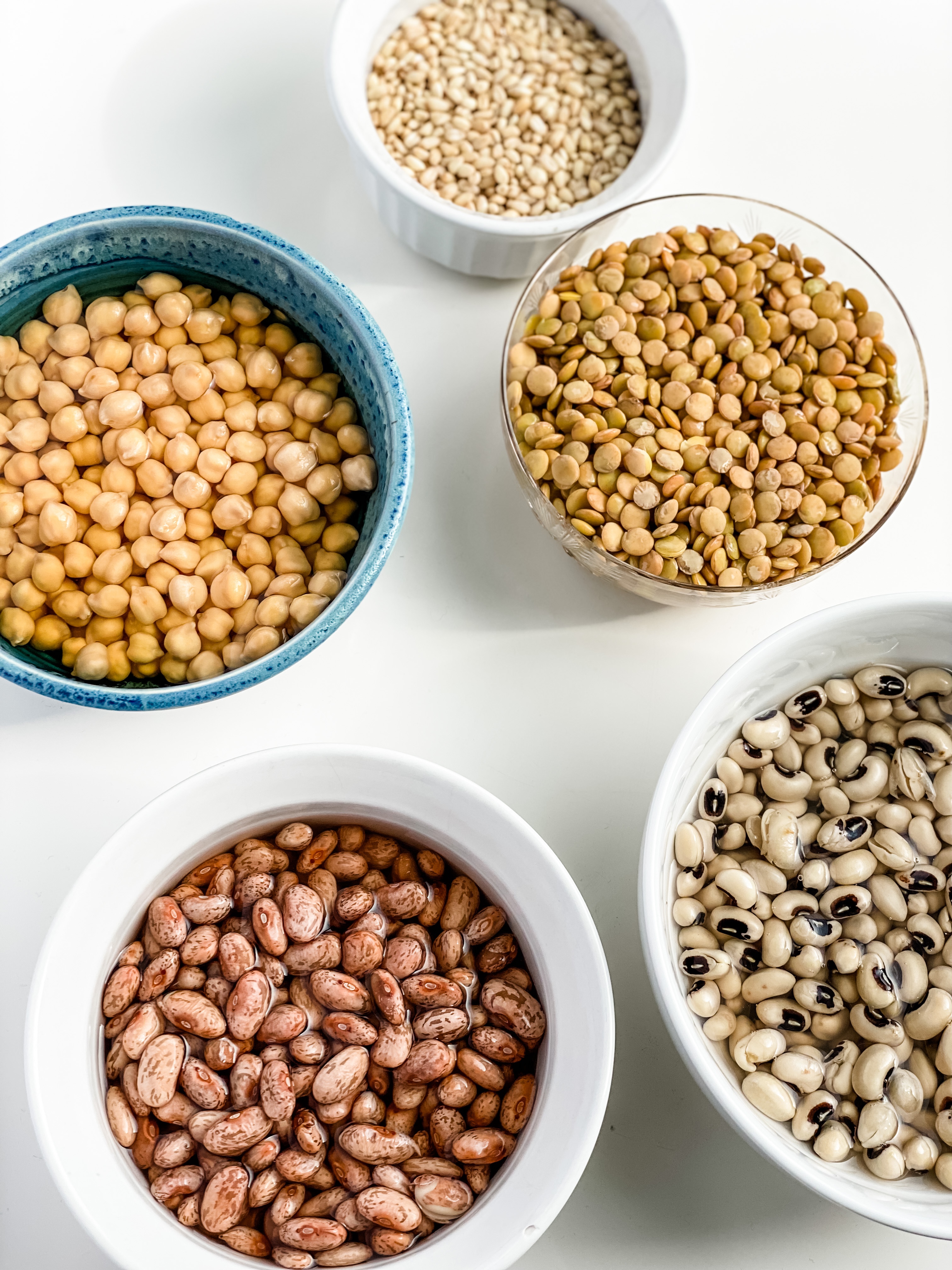 Legumes for Vegan Gandom Patteh